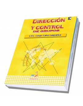 Dirección y control de grupos - 2a. Edición